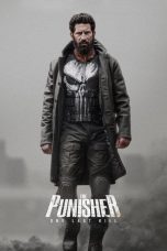 The Punisher: One Last Kill